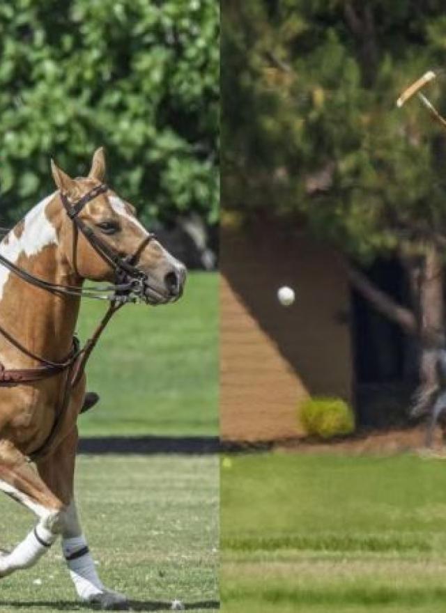 Paul Griffin riding a horse during a game of polo