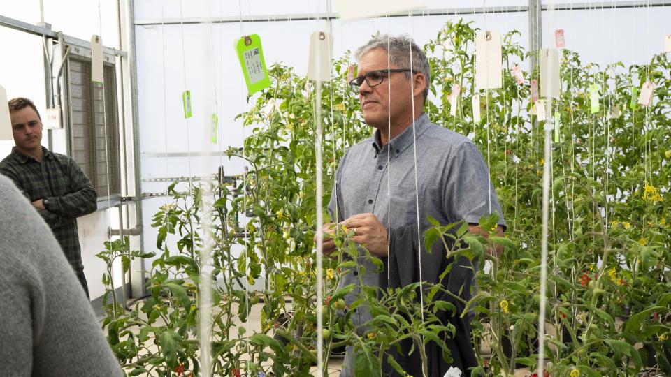 Man surrounded by plants in a greenhouse